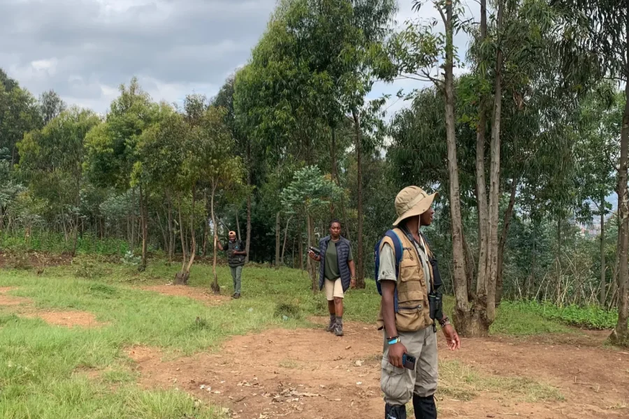 🕓Musanze: City Tour, Nature Walk, and Amakera Tasting
