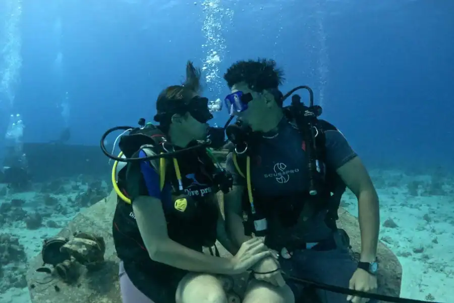 🕓Museum Diving Experience in the Red Sea