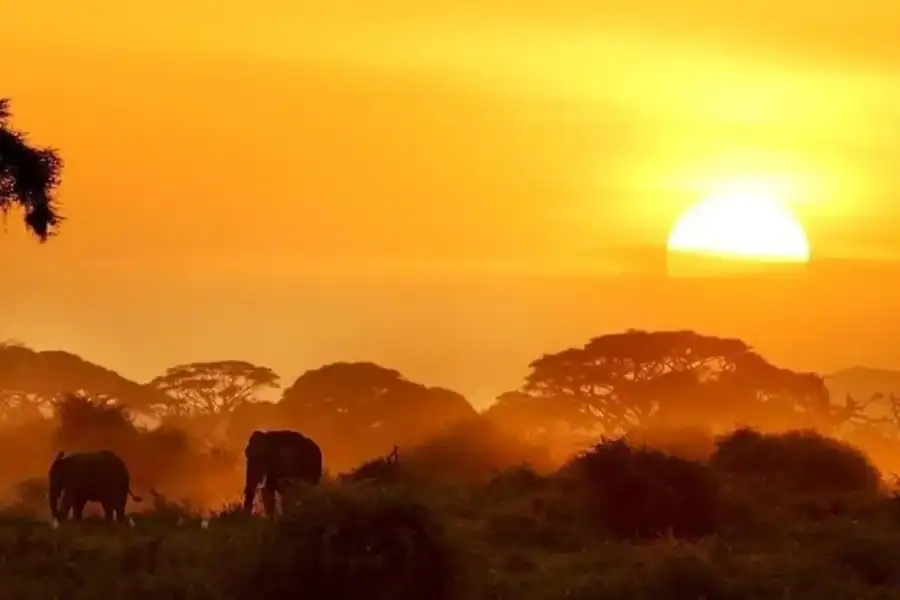 🕓Nairobi: 2-Day Amboseli Safari – Overnight Wildlife Tour