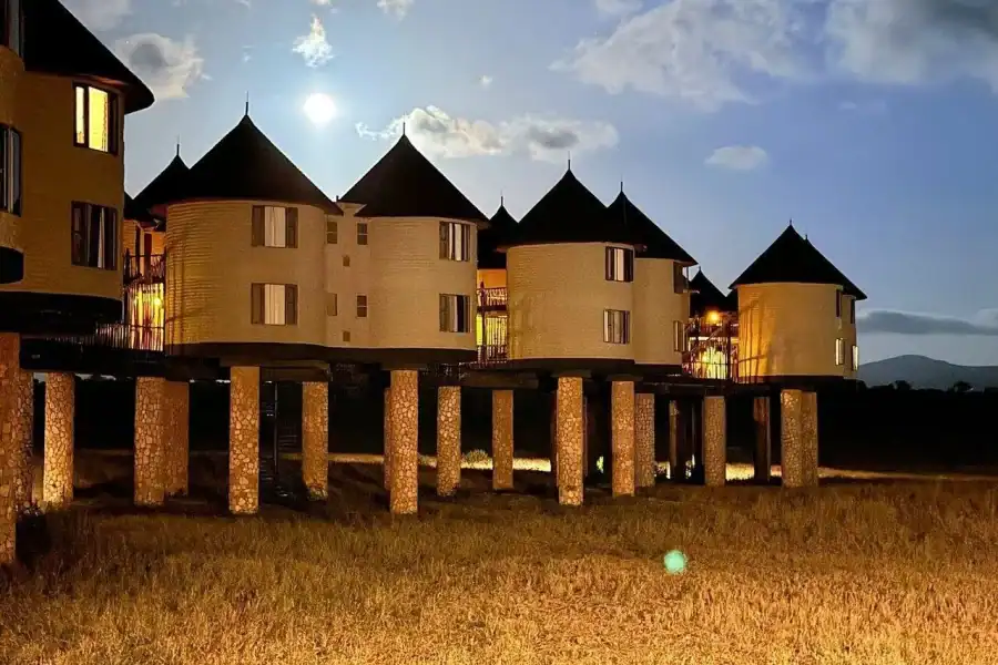 🕓Taita Hills: Guided Hike with Local Guide