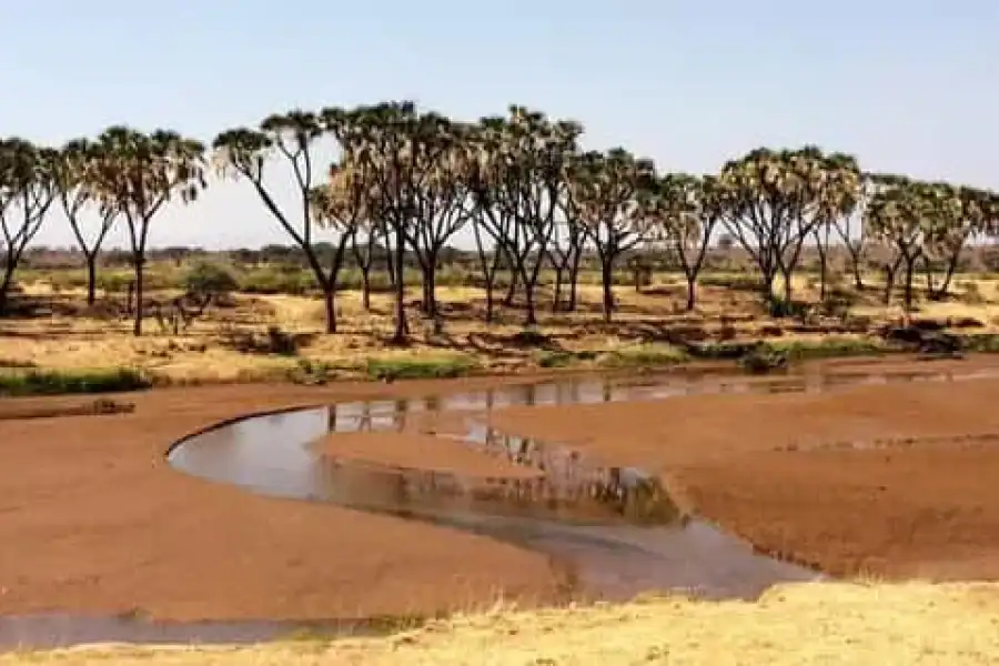 🚸Nairobi: 3-day All-inclusive Samburu National Park Safari