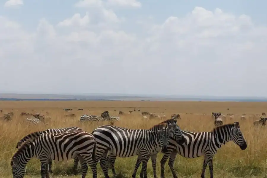 🕓Nairobi: 3-Day Amboseli and Tsavo East Safari with Meals
