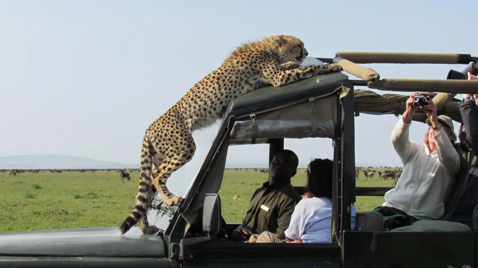 🕓Nairobi: 3-Day Maasai Mara Group Tour with 4X4 Jeep Safari