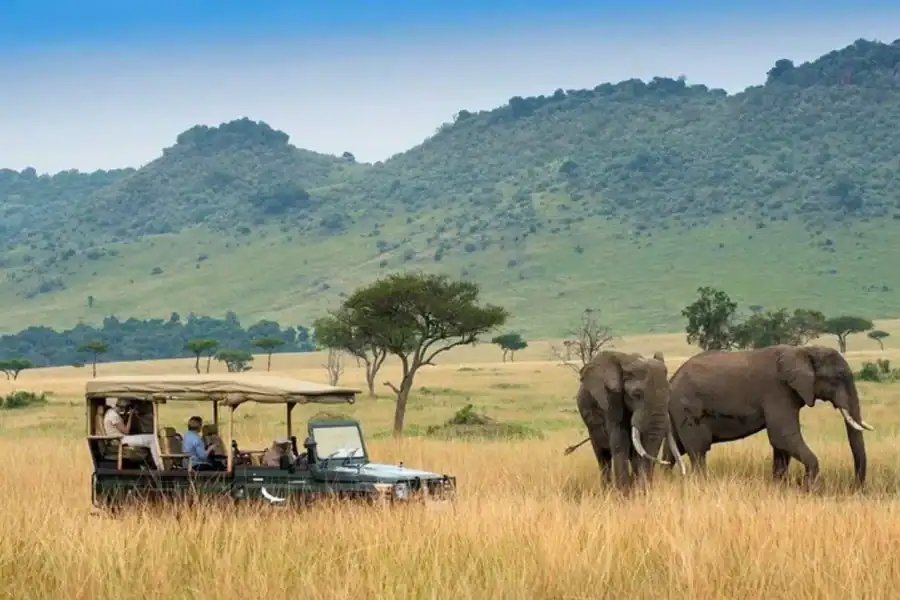 🕓Nairobi: 4-Day Maasai Mara& Lake Nakuru Camping Safari