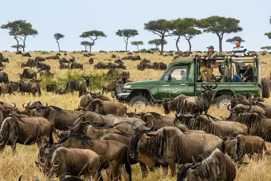 🕓Nairobi: 4-Day Masai Mara& Lake Nakuru Safari – Mid-range