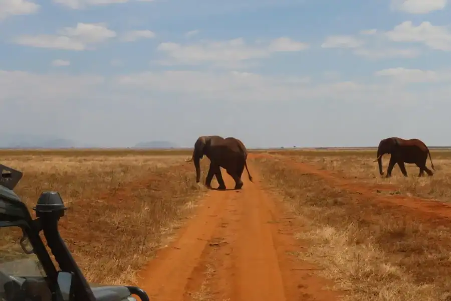 🕓Nairobi: 4 Days Meru, Lewa& Mt Kenya Private Safari Tour