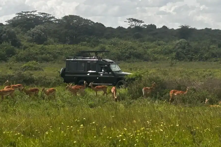 🕓Lake Naivasha and Aberdare 4-Day Safari