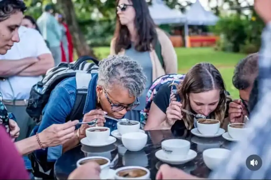 🚸Nairobi: Coffee Farm Tour With Tasting And Transfers