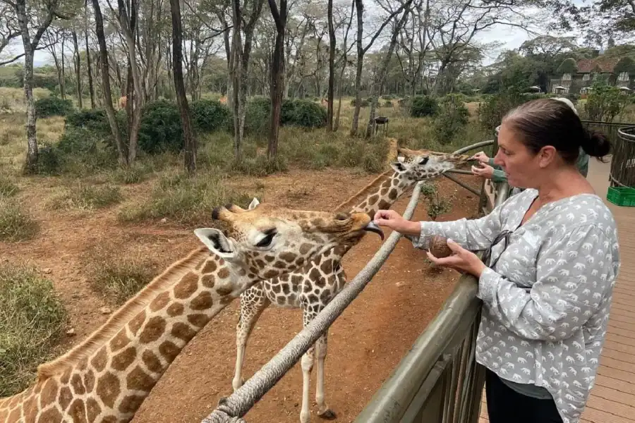 🕓Nairobi: Elephant Orphanage, Giraffe Center, Karen Blixen