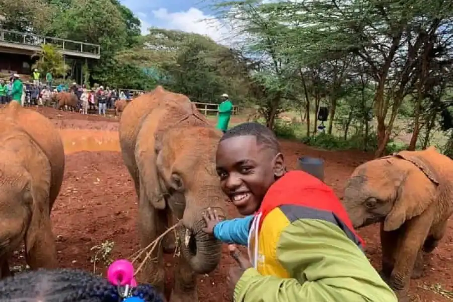 🚸Nairobi: Elephant Orphanage, Giraffe Center & Karen Blixen