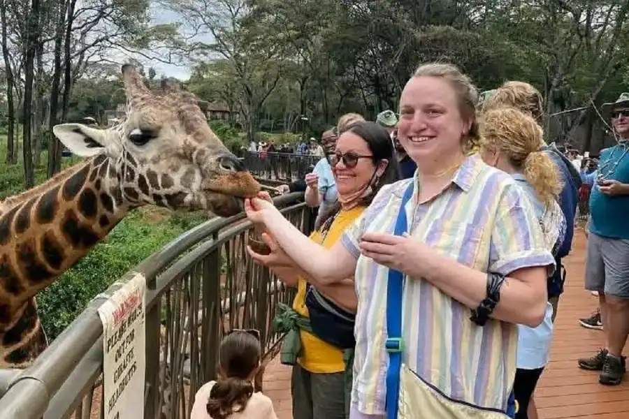 🕓Nairobi: Elephant Orphanage& Giraffe Centre Tour