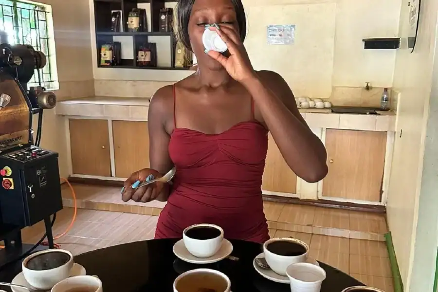 🕓Nairobi: Fairview Coffee Estate Tour with Transfers