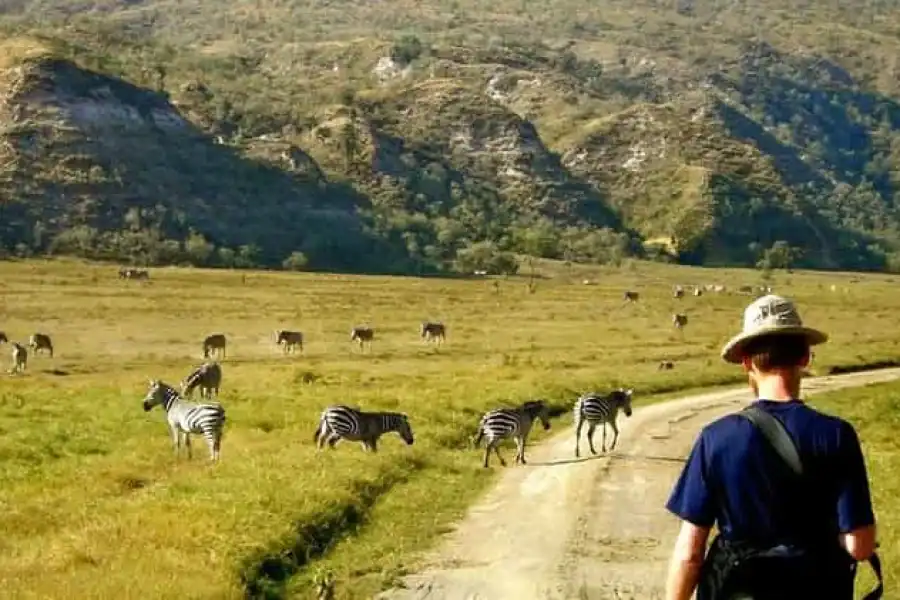 🚸Nairobi: Full-day Private Tour To Hell’s Gate National Park