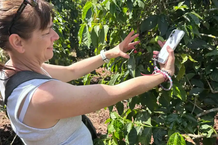 🕓Nairobi: Guided Coffee Farm Tour with Tastings