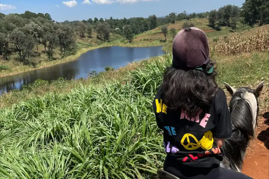 🕓Nairobi: Horseback Riding Tour Through Maize Plantation