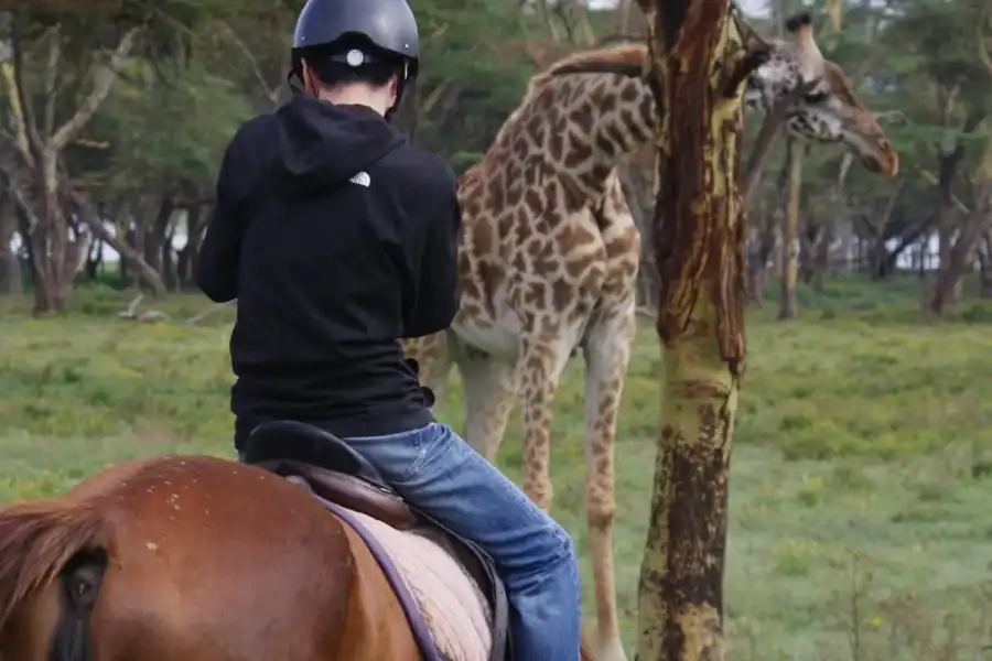 🕓Nairobi: Horseback Safari and Lake Naivasha Boat Ride
