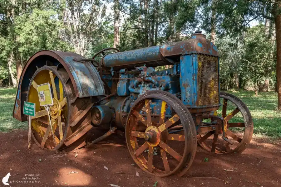 🕓Nairobi: Karen Blixen Museum and Tea Farm Tour