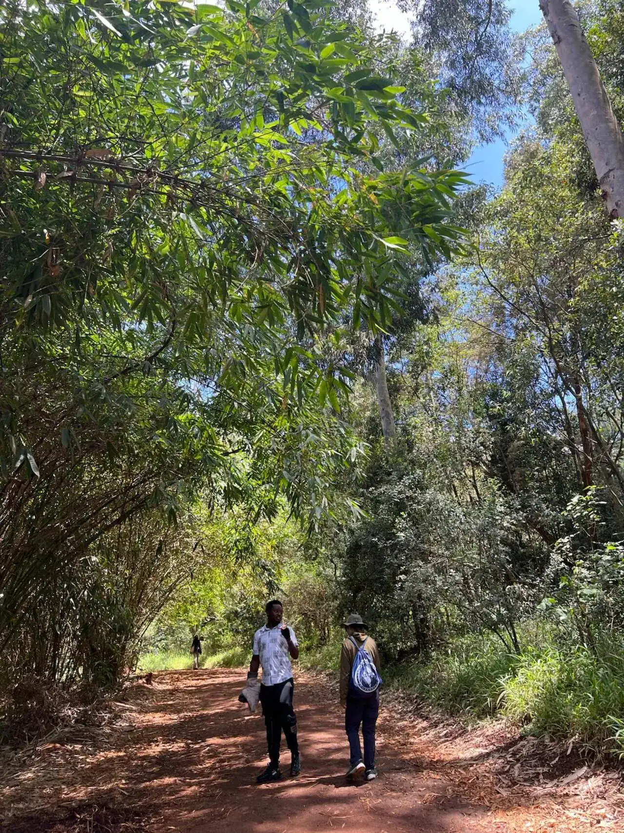 🕓Nairobi: Karura Forest Guided Nature Walk& Waterfall Tour