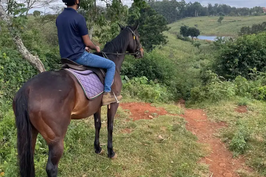 🕓Nairobi: Karura Forest Horseback Riding Tour