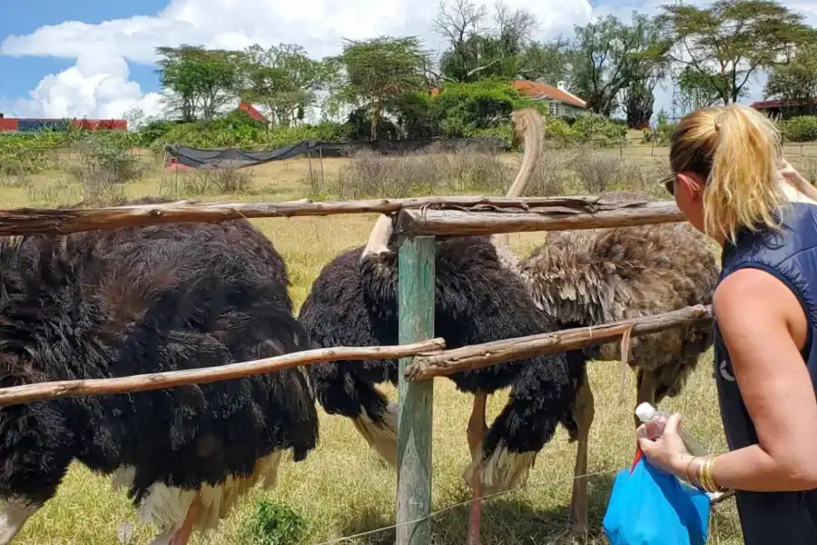 🕓Nairobi: Lake Naivasha Boat Ride& Crescent Island Tour