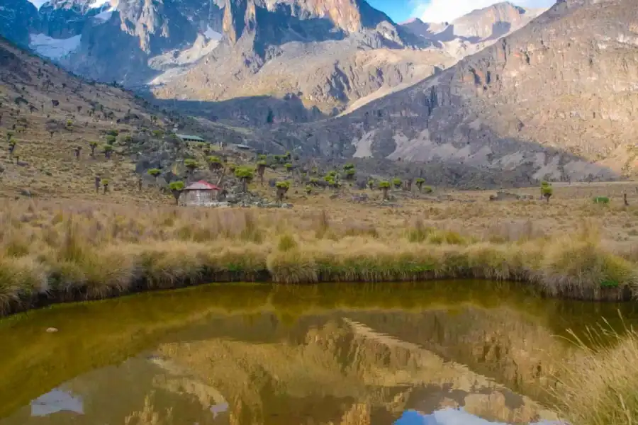 🕓Nairobi: Mt Kenya Full-day hiking tour