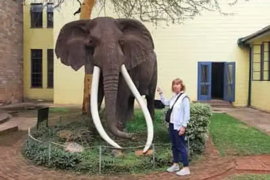 🚸Nairobi Museum, Giraffe Centre, Karen Blixen & Bomas Kenya