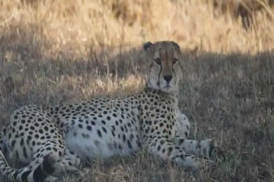 🚸Nairobi National Park