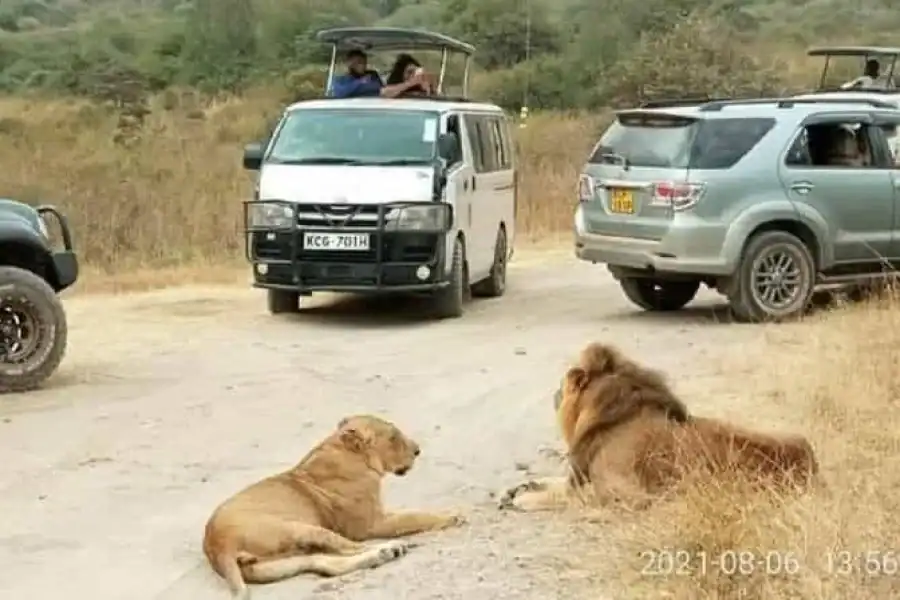 🚸Nairobi National Park And Elephant Orphanage