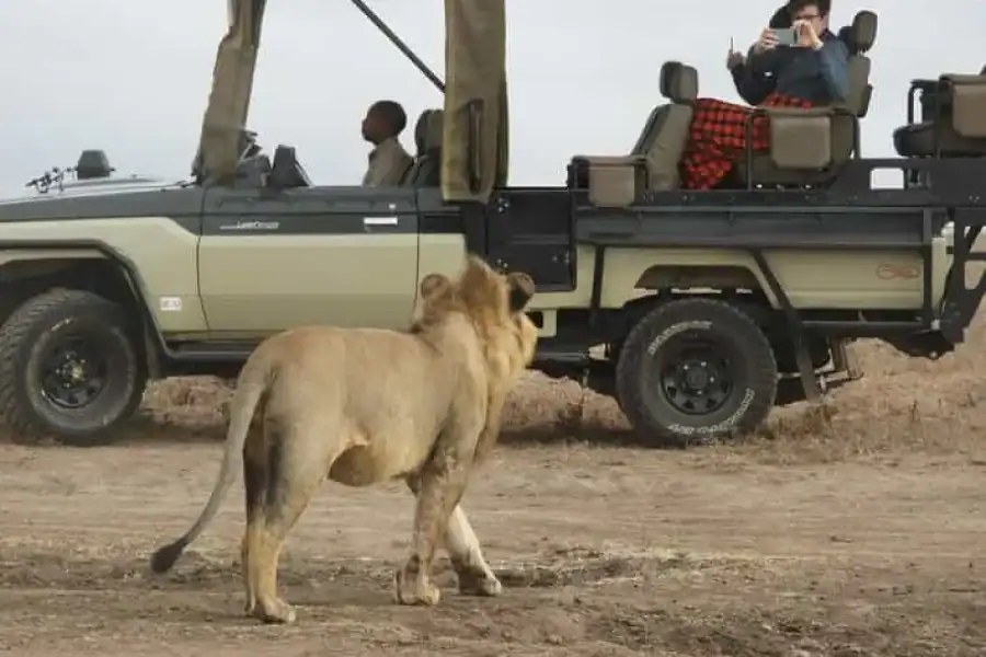 🚸Nairobi National Park Drive Guided Tour