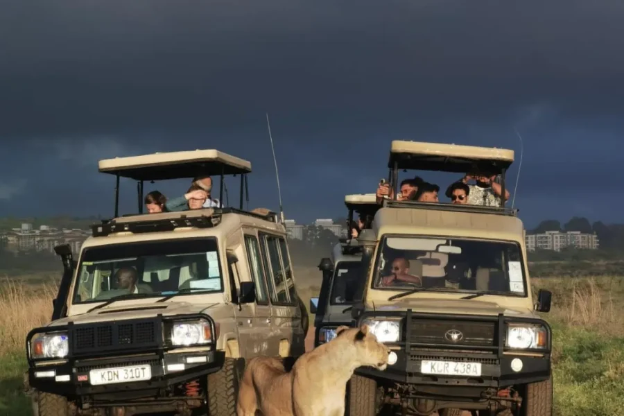 🕓Nairobi National Park Game Drive Safari With Pick-Up