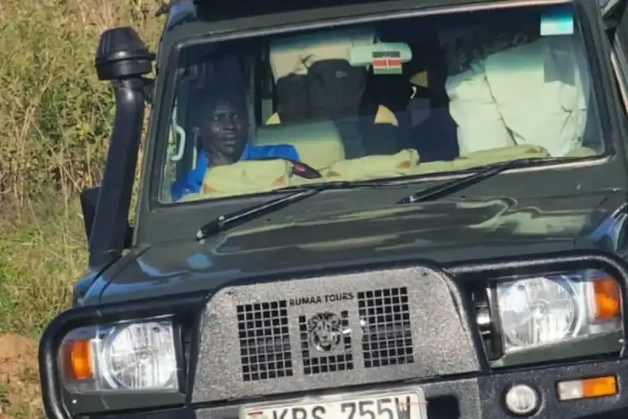 🕓Nairobi National Park Half-Day Private Jeep Safari
