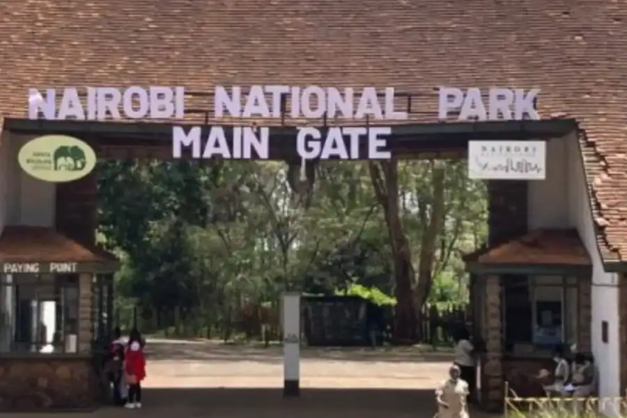 🕓Nairobi: National Park Sunrise Safari with Rhino Tracking