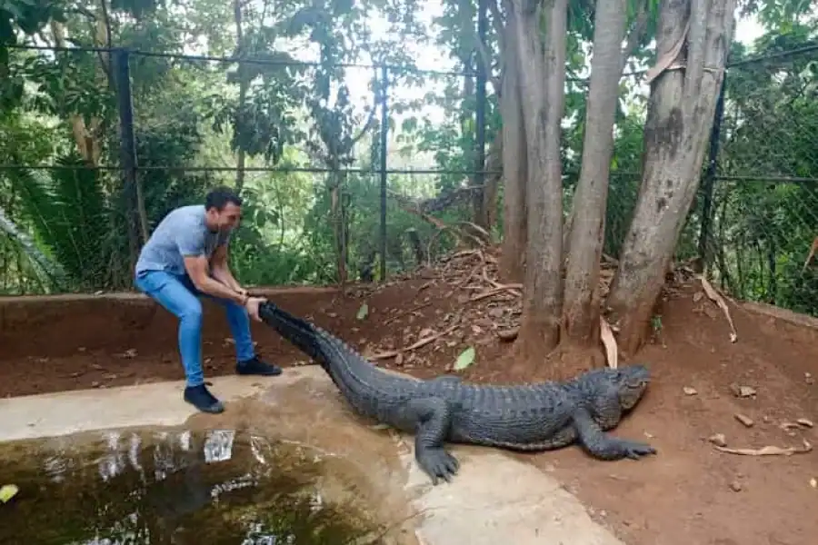 🚸Nairobi: Private 4-hour City Tour