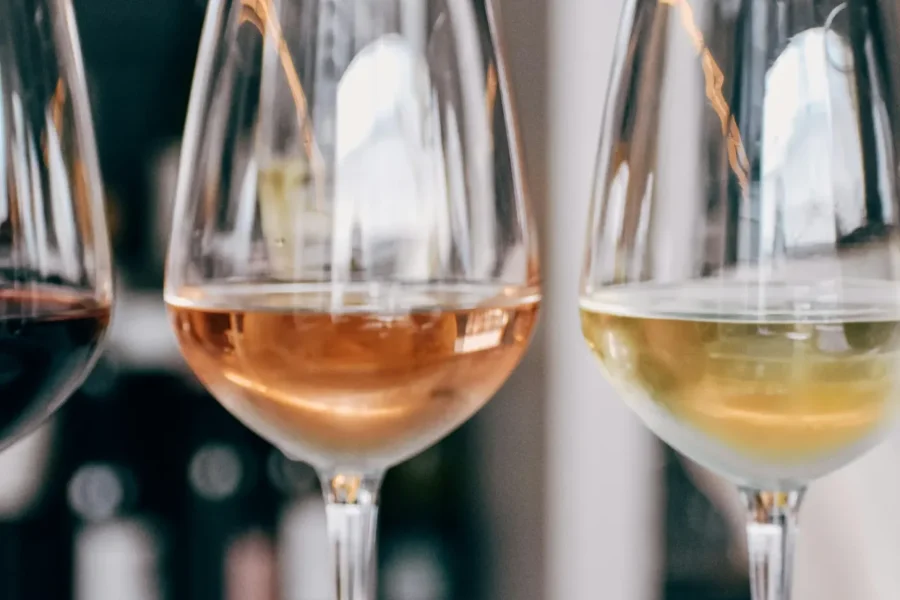 🕓Nairobi: Wine, Cheese, and Meat Tasting Experience