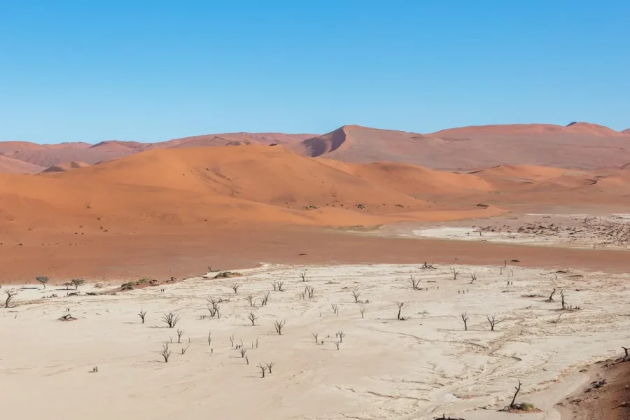 🕓Namib Desert: 3-Day Adventure to the Red Dunes Of Sossusvlei