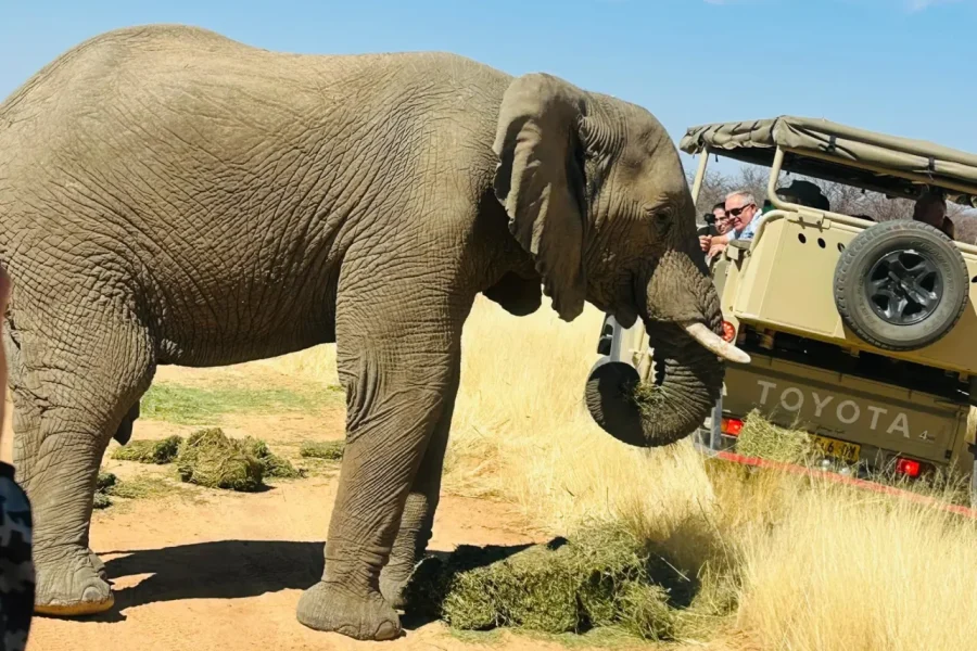 🕓Namibia: 15 Days Guided Tour