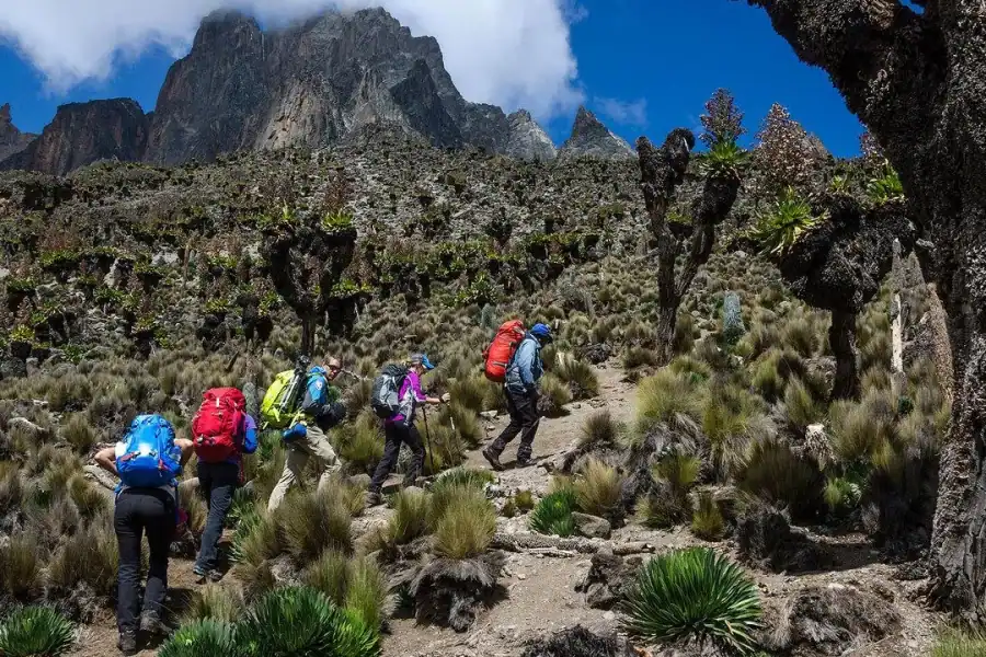 🕓Nanyuki: 4-Day Mount Kenya Trek with Guide& Meals