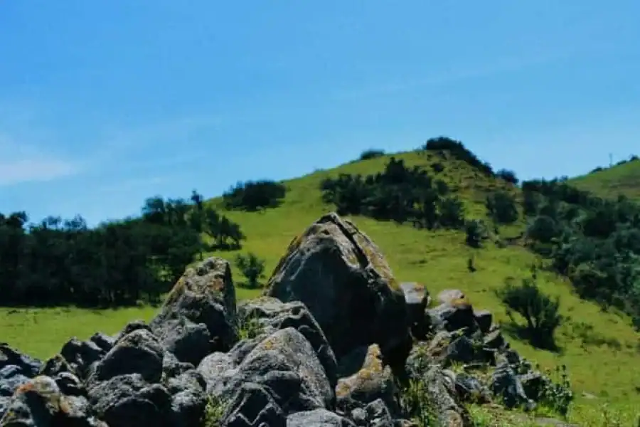 🚸Ngong Hills: Private Hiking Tour