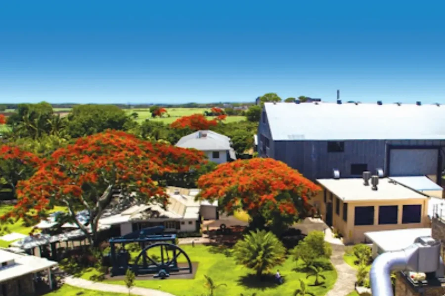 🕓North Day Tour, Botanical Garden, Sugar Museum, Rum Tasting
