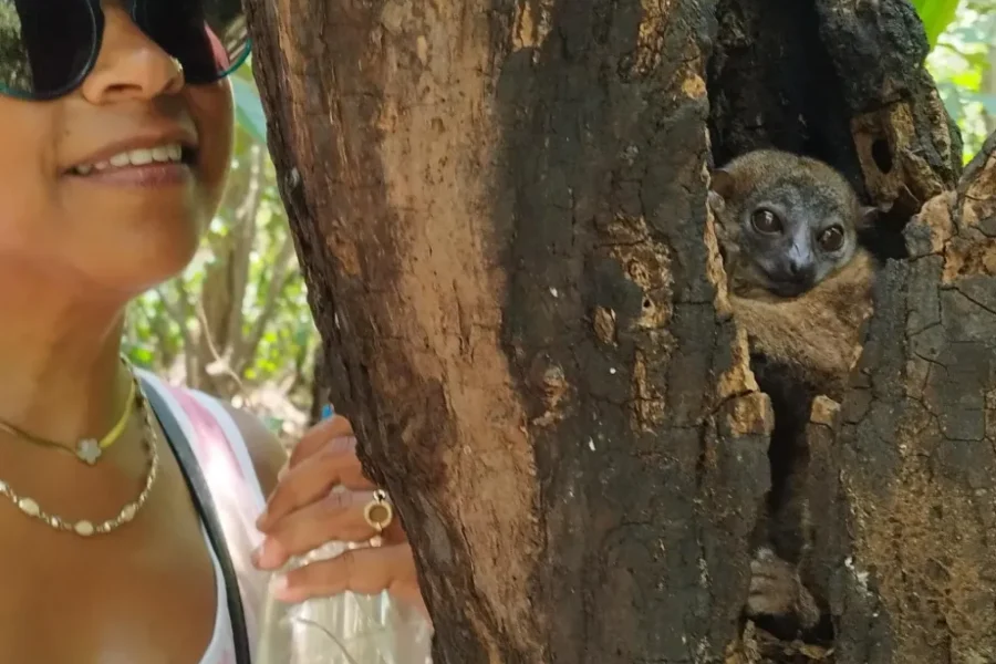 🕓Nosy Be: Lokobe Reserve Guided Tour with Lunch