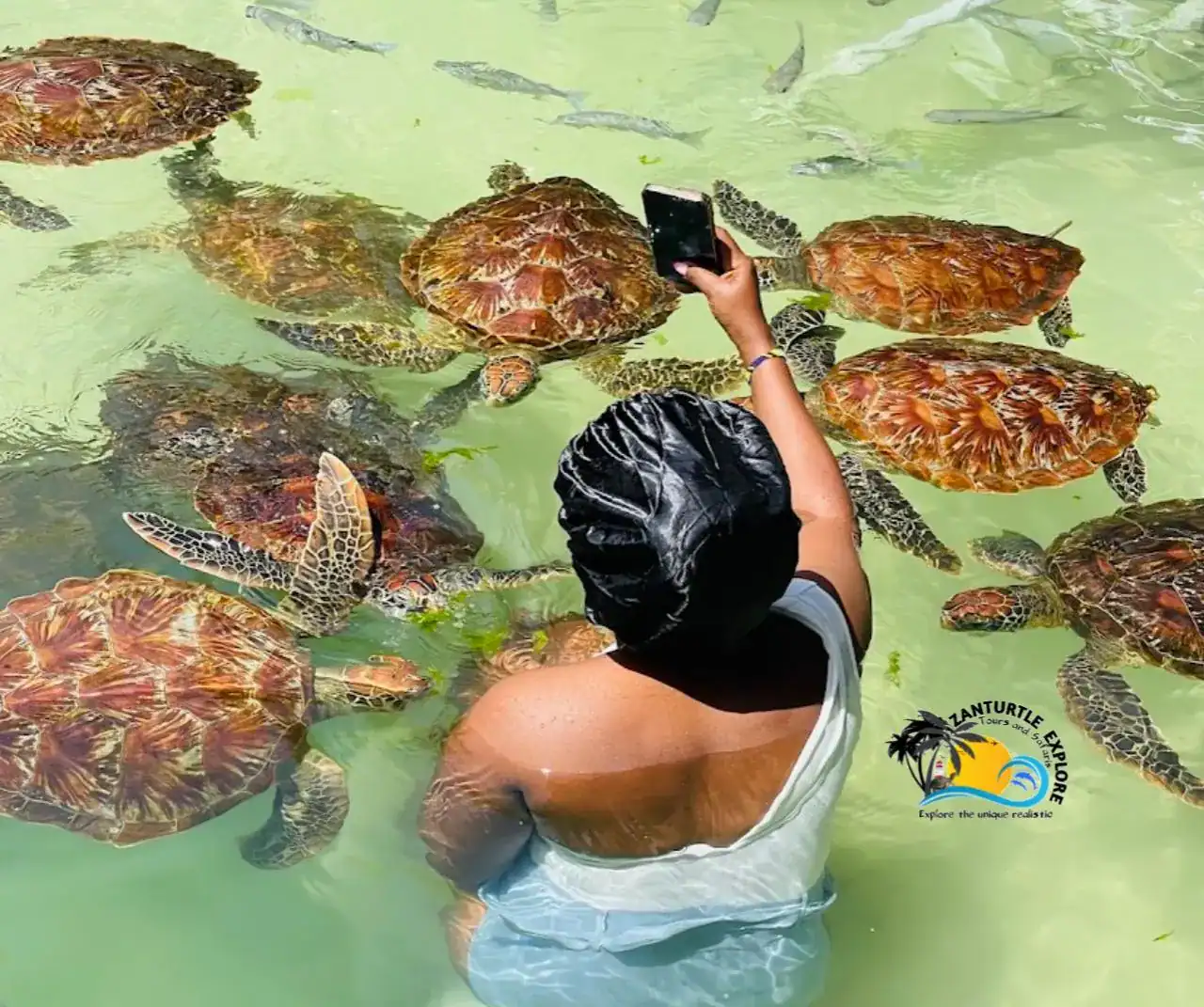 🕓Nungwi: Swimming with Turtles at The Lagoons Zanzibar