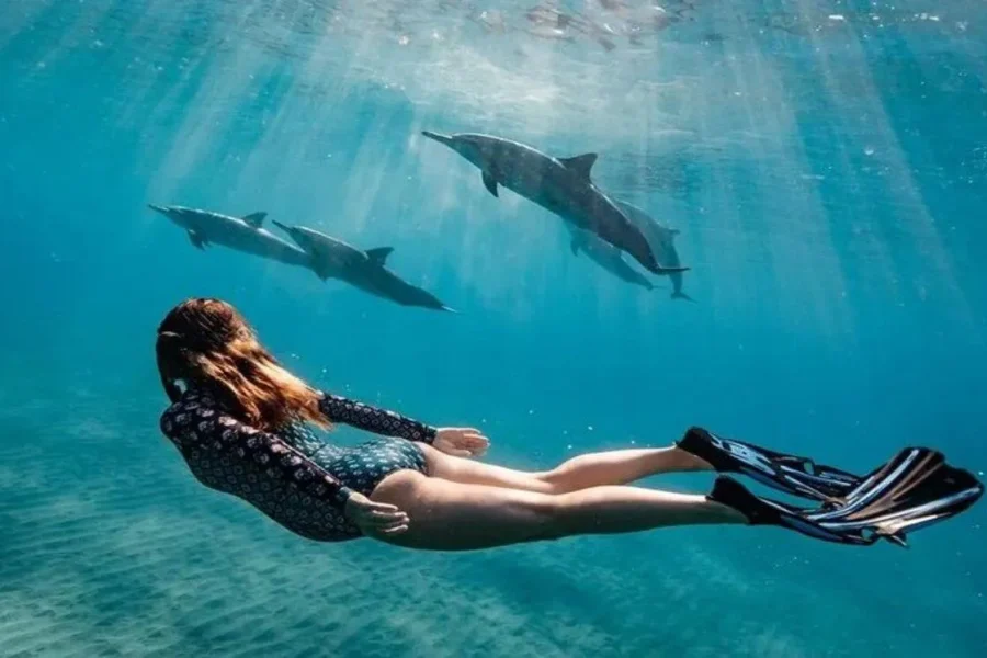 🕓Nungwi:Mnemba Snorkeling,Dolphins, Kayak+Drone& Sunset Dhow