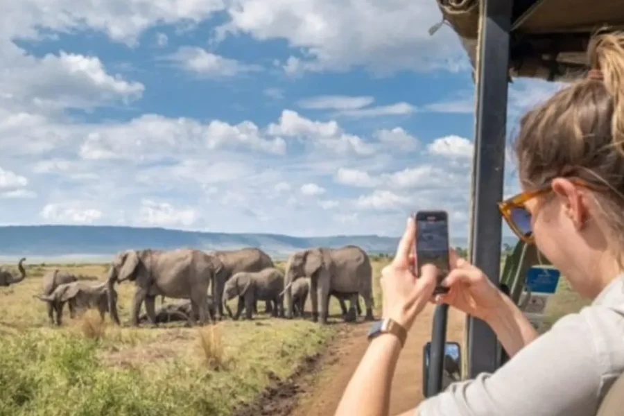 🕓Nyerere 2-Day Safari from zanzibar& Boat tour by flight
