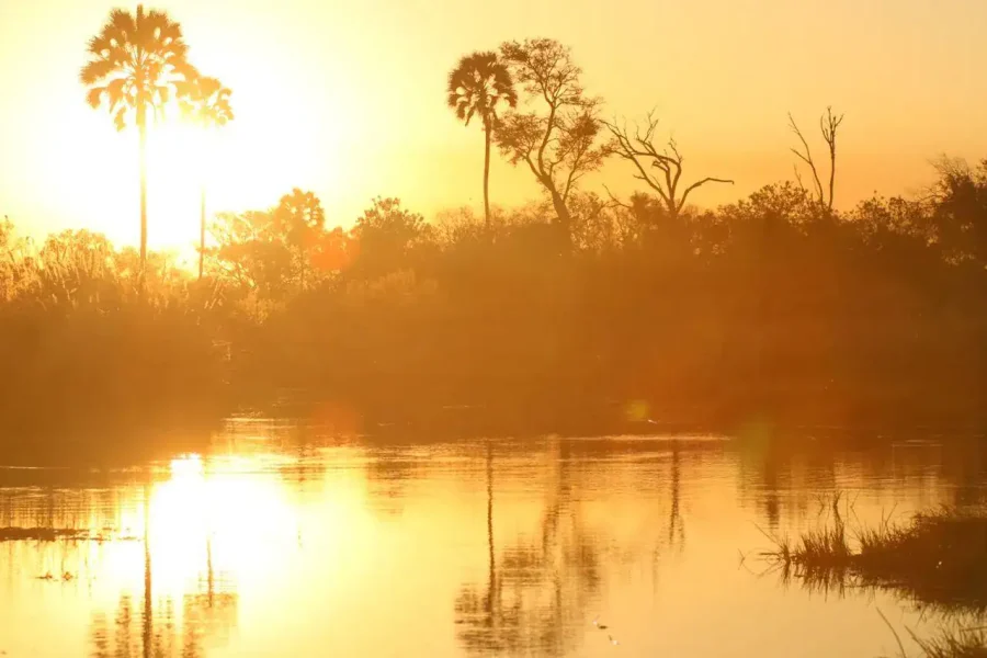 🕓Okavango Delta Day Trip