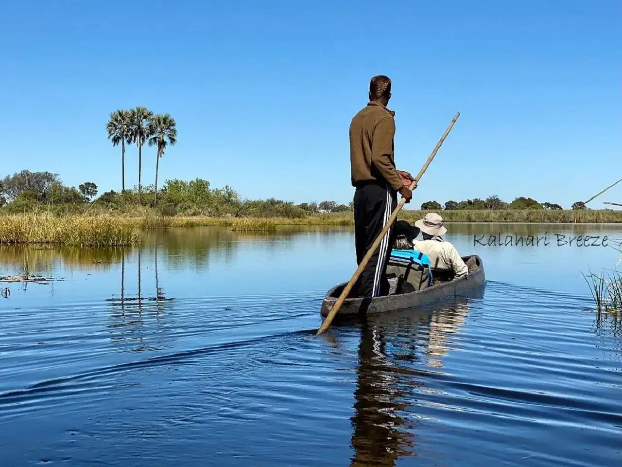 🕓Okavango Delta: Full-Day Mokoro/Canoe Tour All-Inclusive