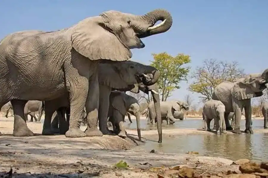 🚸Overnight Safari At Amboseli National Park