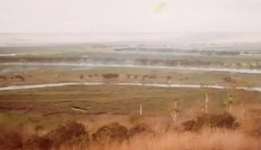 🌵 Quiçama National Park (Angola)
