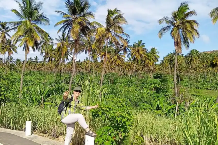 🕓Praia: Banana and Coconut Plantation Tour& Fruit Tasting