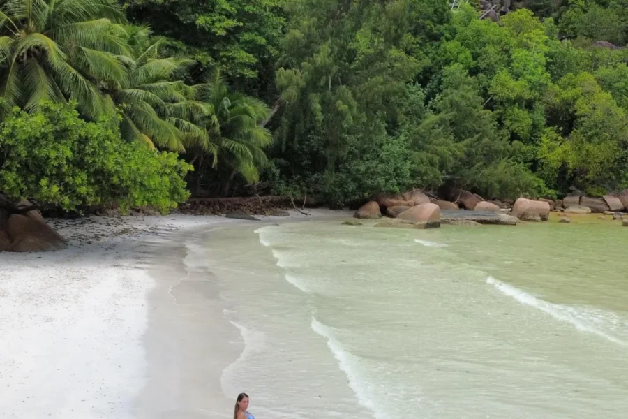 🕓Praslin: Drone Photography and Videography Experience