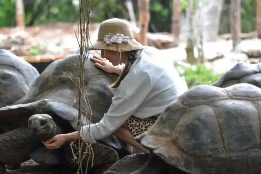 🕓Zanzibar: Prison Island Tour& Giant Tortoises Experience